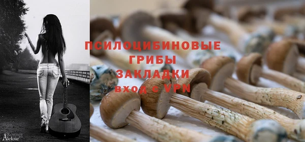 Альфа ПВП Костерёво
