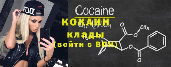 крисы Коряжма