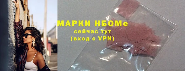 крисы Коряжма