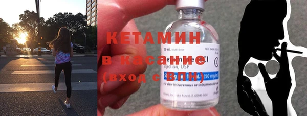 крисы Коряжма