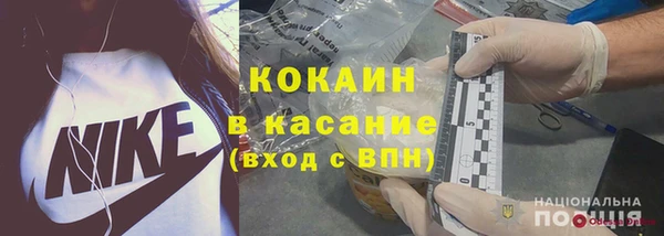 крисы Коряжма