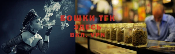крисы Коряжма