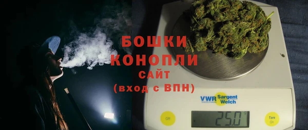 крисы Коряжма