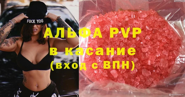 крисы Коряжма