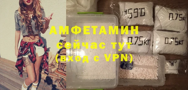 крисы Коряжма