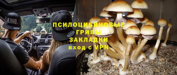 Альфа ПВП Костерёво