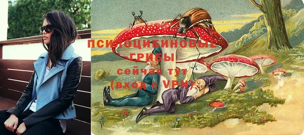 скорость Корсаков