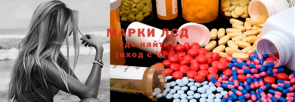 крисы Коряжма