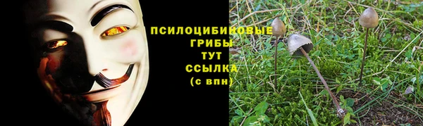 скорость Корсаков