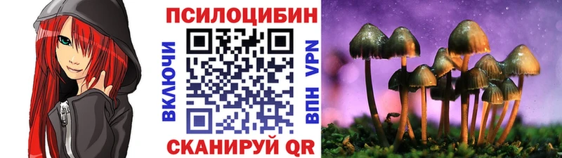 Галлюциногенные грибы MAGIC MUSHROOMS Купить Каменск-Уральский